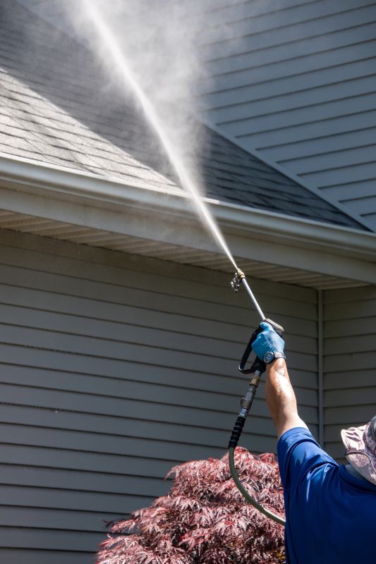 Gutter and Roof Cleaning Services