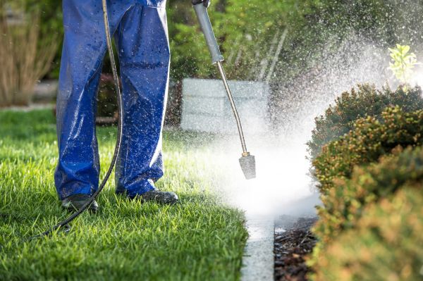 Curb Cleaning in Cherry Hill