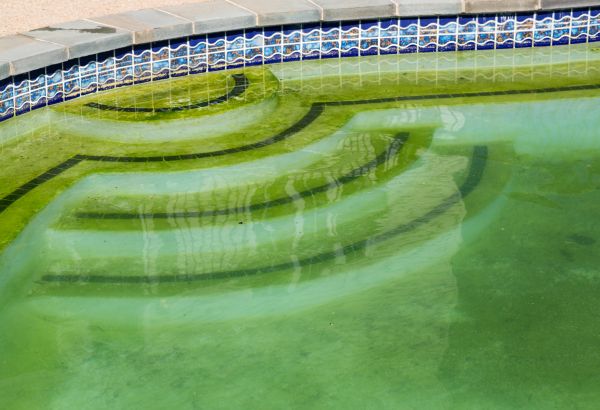 Pool Deck Algae Removal in Cherry Hill