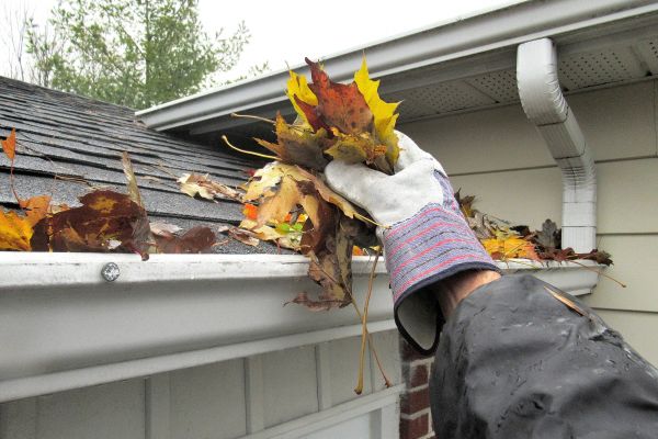 Eaves Cleaning in Cherry Hill