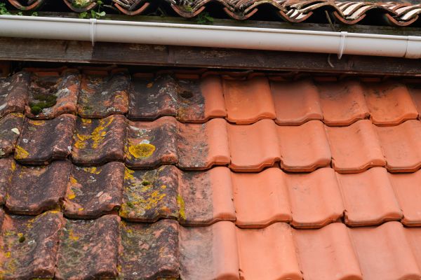 Industrial Roof Cleaning Service